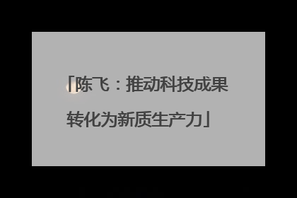 陈飞：推动科技成果转化为新质生产力