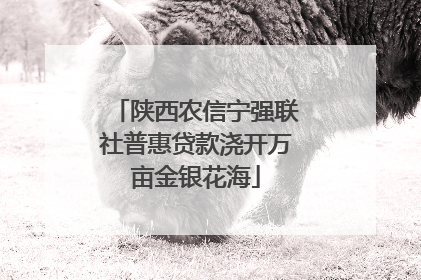 陕西农信宁强联社普惠贷款浇开万亩金银花海