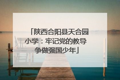 陕西合阳县天合园小学：牢记党的教导 争做强国少年
