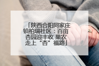 陕西合阳同家庄镇柏瑞社区：百亩杏园迎丰收 果农走上“杏”福路
