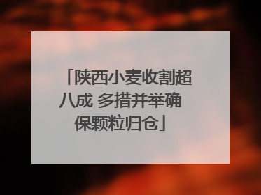 陕西小麦收割超八成 多措并举确保颗粒归仓
