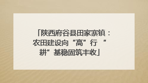 陕西府谷县田家寨镇：农田建设向“高”行 “耕”基稳固筑丰收