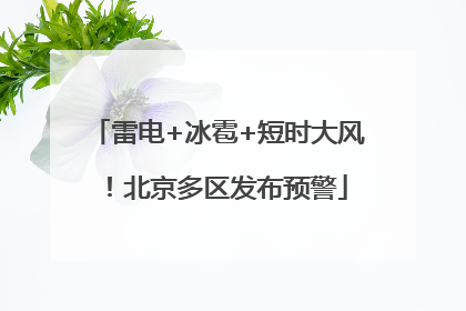 雷电+冰雹+短时大风！北京多区发布预警