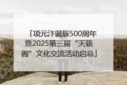 项元汴诞辰500周年暨2025第三届“天籁阁”文化交流活动启幕