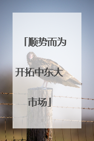 顺势而为开拓中东大市场