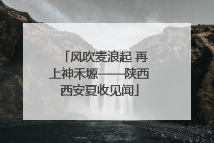 风吹麦浪起 再上神禾塬——陕西西安夏收见闻