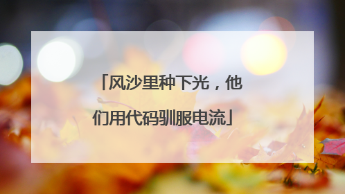 风沙里种下光，他们用代码驯服电流