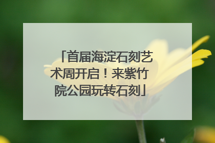 首届海淀石刻艺术周开启！来紫竹院公园玩转石刻