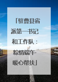 驻曹县省派第一书记和工作队：粽情端午·暖心帮扶