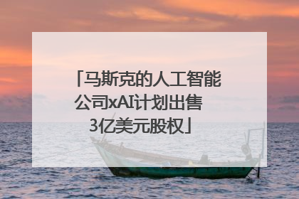 马斯克的人工智能公司xAI计划出售3亿美元股权