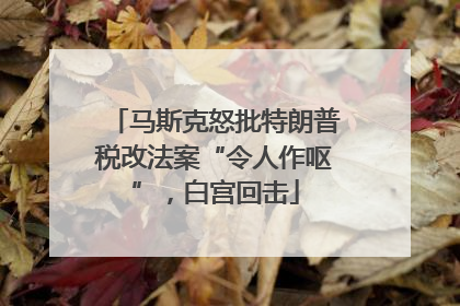 马斯克怒批特朗普税改法案“令人作呕”，白宫回击