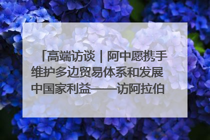 高端访谈｜阿中愿携手维护多边贸易体系和发展中国家利益——访阿拉伯议会议长亚马希
