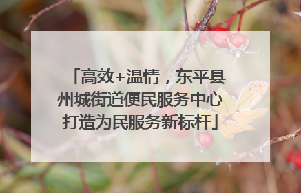 高效+温情，东平县州城街道便民服务中心打造为民服务新标杆