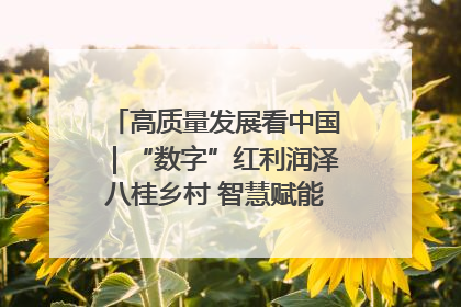 高质量发展看中国｜“数字”红利润泽八桂乡村 智慧赋能绘就振兴画卷