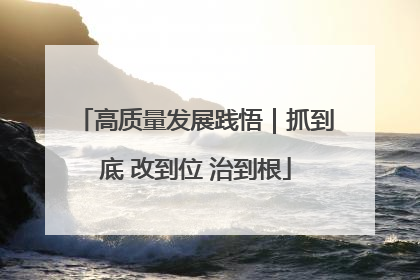 高质量发展践悟｜抓到底 改到位 治到根