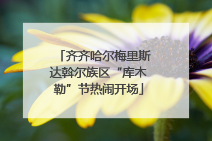 齐齐哈尔梅里斯达斡尔族区“库木勒”节热闹开场