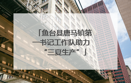 鱼台县唐马镇第一书记工作队助力“三夏生产”