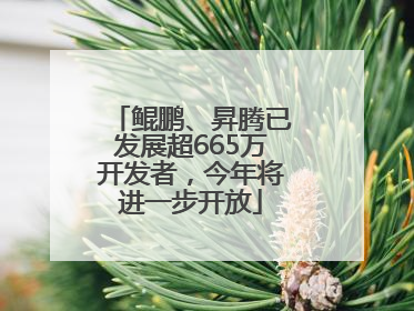 鲲鹏、昇腾已发展超665万开发者，今年将进一步开放