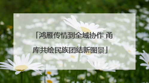 鸿雁传情到全域协作 甬库共绘民族团结新图景