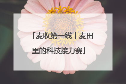 麦收第一线丨麦田里的科技接力赛
