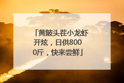 黄陂头茬小龙虾开炫，日供8000斤，快来尝鲜