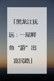 黑龙江抚远：一尾鲜鱼“游”出富民路