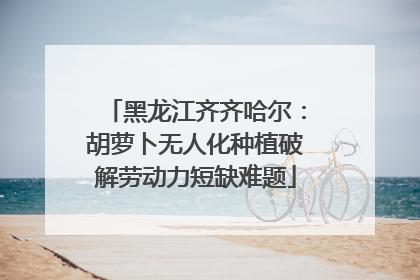 黑龙江齐齐哈尔：胡萝卜无人化种植破解劳动力短缺难题
