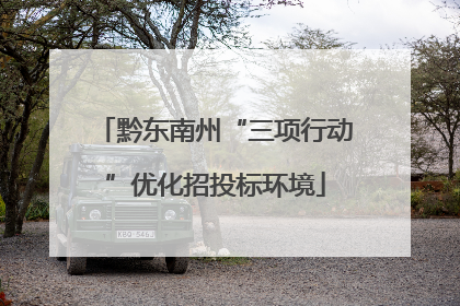 黔东南州“三项行动”优化招投标环境