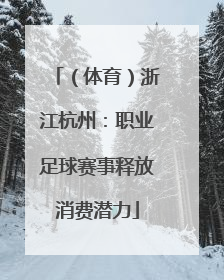 （体育）浙江杭州：职业足球赛事释放消费潜力