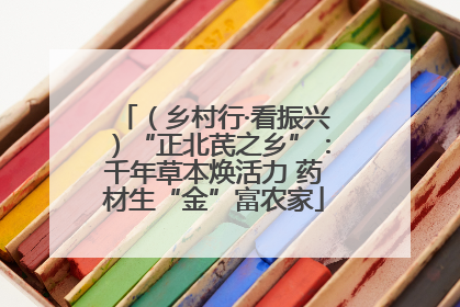 （乡村行·看振兴）“正北芪之乡”：千年草本焕活力 药材生“金”富农家