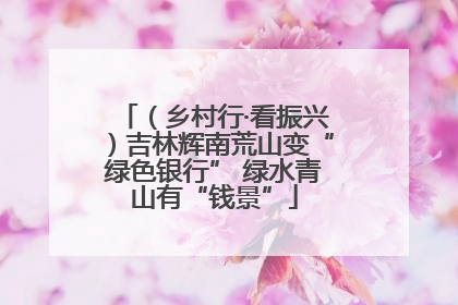 （乡村行·看振兴）吉林辉南荒山变“绿色银行” 绿水青山有“钱景”