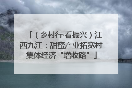 （乡村行·看振兴）江西九江：甜蜜产业拓宽村集体经济“增收路”