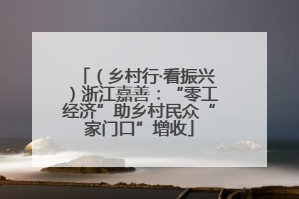 （乡村行·看振兴）浙江嘉善：“零工经济”助乡村民众“家门口”增收