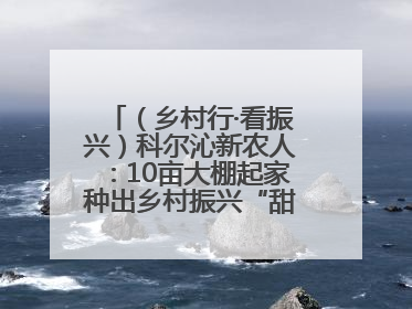 （乡村行·看振兴）科尔沁新农人：10亩大棚起家种出乡村振兴“甜蜜果”