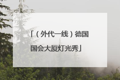 （外代一线）德国国会大厦灯光秀