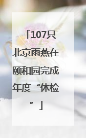 107只北京雨燕在颐和园完成年度“体检”