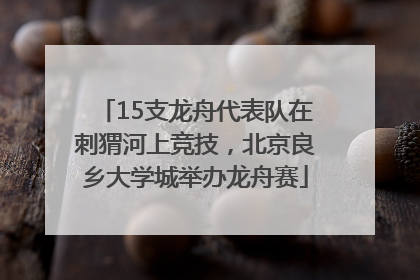 15支龙舟代表队在刺猬河上竞技，北京良乡大学城举办龙舟赛
