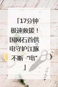 17分钟极速救援！国网石首供电守护江豚不断“电”