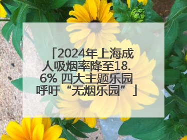 2024年上海成人吸烟率降至18.6% 四大主题乐园呼吁“无烟乐园”