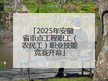 2025年安徽省重点工程职工（农民工）职业技能竞赛开幕