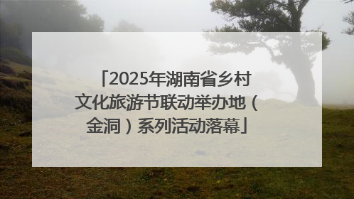 2025年湖南省乡村文化旅游节联动举办地（金洞）系列活动落幕