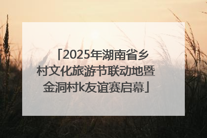 2025年湖南省乡村文化旅游节联动地暨金洞村k友谊赛启幕
