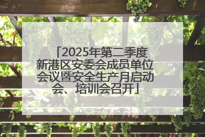 2025年第二季度新港区安委会成员单位会议暨安全生产月启动会、培训会召开