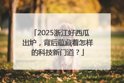 2025浙江好西瓜出炉，背后蕴藏着怎样的科技新门道？