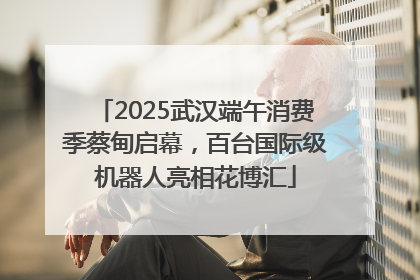 2025武汉端午消费季蔡甸启幕，百台国际级机器人亮相花博汇