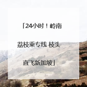 24小时！岭南荔枝乘专线 枝头直飞新加坡
