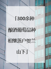 300余种酿酒葡萄品种相继落户贺兰山下