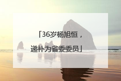 36岁杨旭恒，递补为省委委员