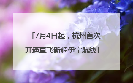 7月4日起，杭州首次开通直飞新疆伊宁航线