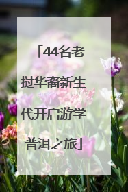 44名老挝华裔新生代开启游学普洱之旅